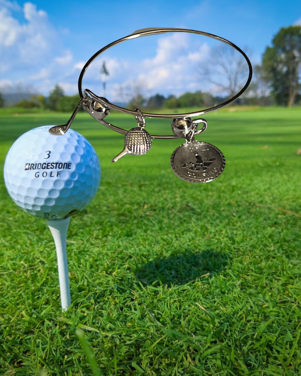 Adjustable Bracelets with Charms - Various Style Color and Design Charm Bracelets .