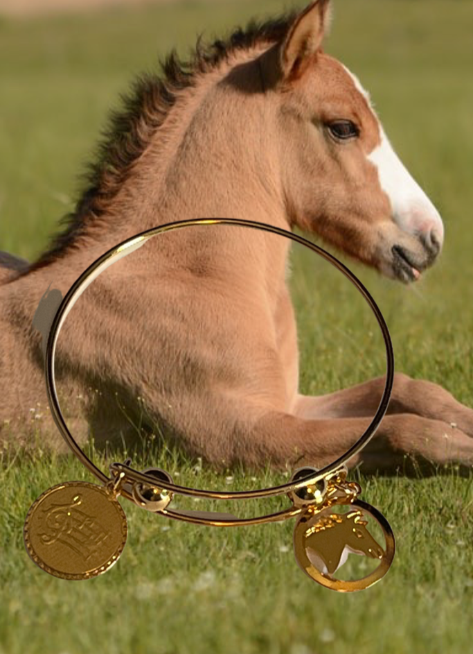 22K GOLD PLATED - HORSE