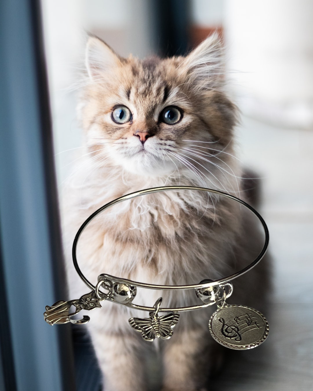 RHODIUM SILVER PLATED - CAT & BUTTERFLY